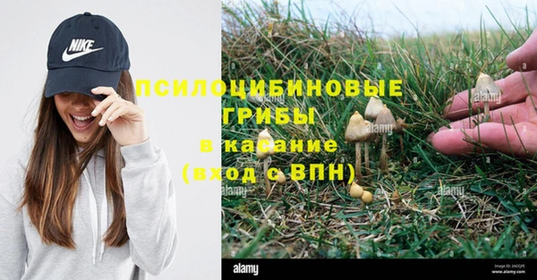 синтетический гашиш Балахна