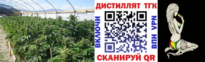 даркнет какой сайт  продажа наркотиков  Севск  ТГК вейп 