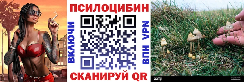Галлюциногенные грибы MAGIC MUSHROOMS  мориарти формула  Севск 